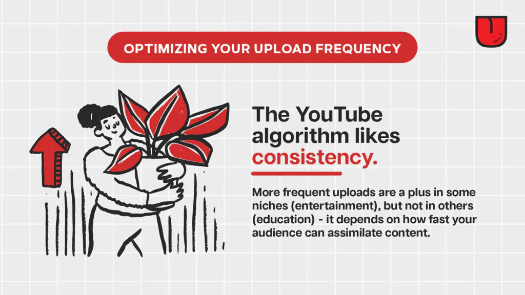 youtube monetization infographic reading: optimizing your upload frequency. The YouTube algorithm likes consistency. More frequent uploads are a plus in some niches (entertainment), but not in others (education) - it depends on how fast your audience can assimilate content.